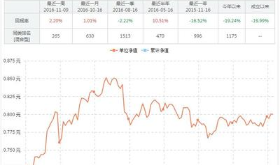 基金净值查询161601,投资动态与风险考量