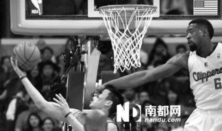 体育新闻nba,赛季盘点与未来展望