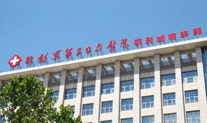 中国人民解放军第306医院,中国人民解放军第306医院的现代化医疗征程”