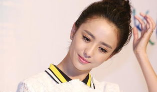 娱乐圈明星受,辉煌与争议并存