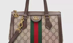 gucci包,经典与创新并存，时尚与品质共融