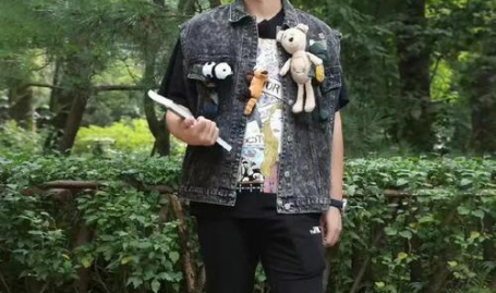 娱乐圈吃瓜爆料郑恺,从综艺咖到官司缠身，明星背后的风险与挑战