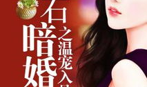 钻石暗婚之温宠入骨,温宠入骨，爱意渐浓的豪门虐恋
