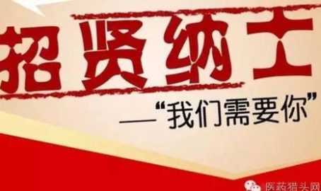 中国医药招聘网,中国医药招聘网深度解析