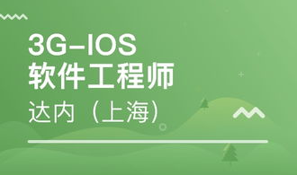 软件工程师培训,技能提升与职业发展之路