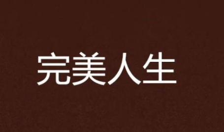 重生2008完美人生,打造完美人生的非凡旅程